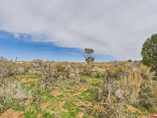 $425,000 | 63645 Highway 491 Dove Creek, Dove Creek, CO 81324