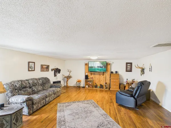 a living room with furniture and a couch