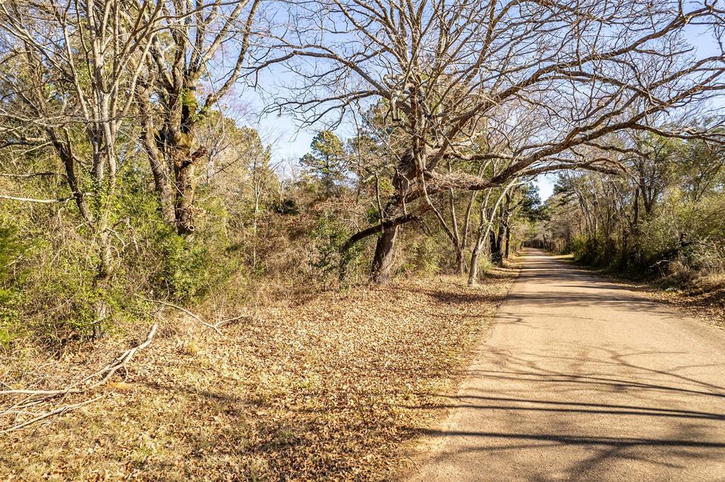 0 Red Oak Road Marshall, TX 75670 - Photo 11 of 40