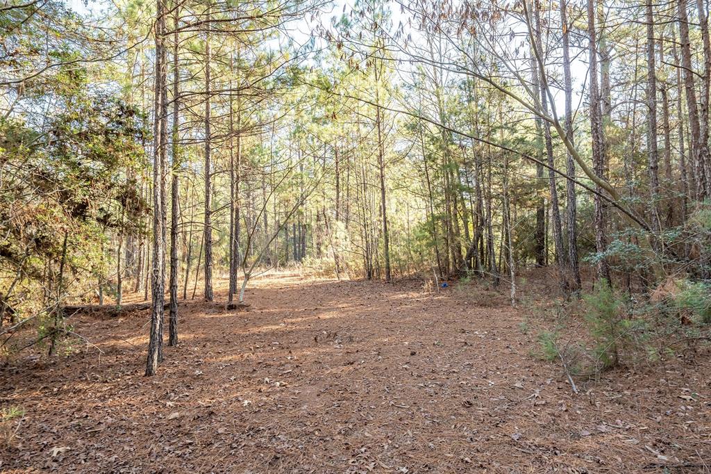 0 Red Oak Road Marshall, TX 75670 - Photo 14 of 40