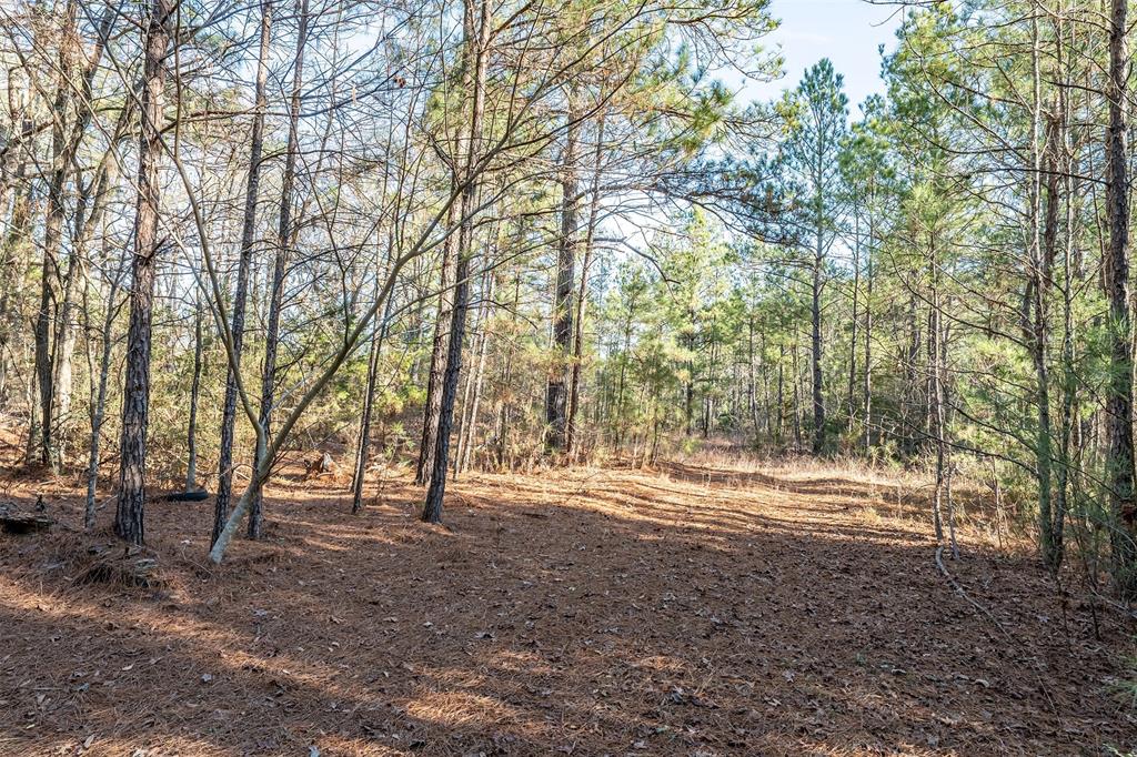 0 Red Oak Road Marshall, TX 75670 - Photo 15 of 40
