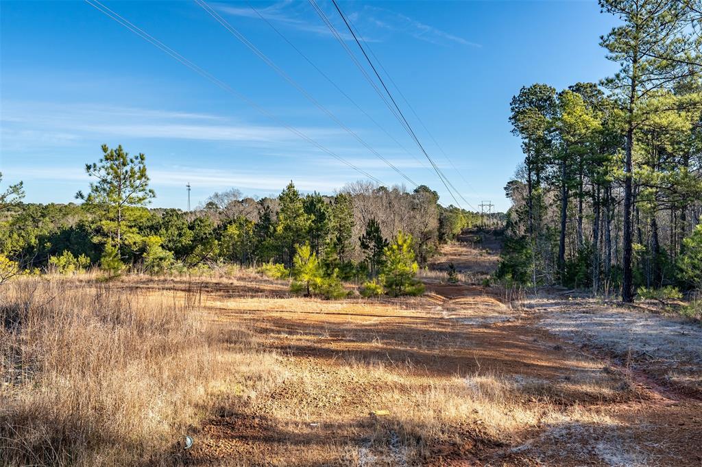 0 Red Oak Road Marshall, TX 75670 - Photo 20 of 40