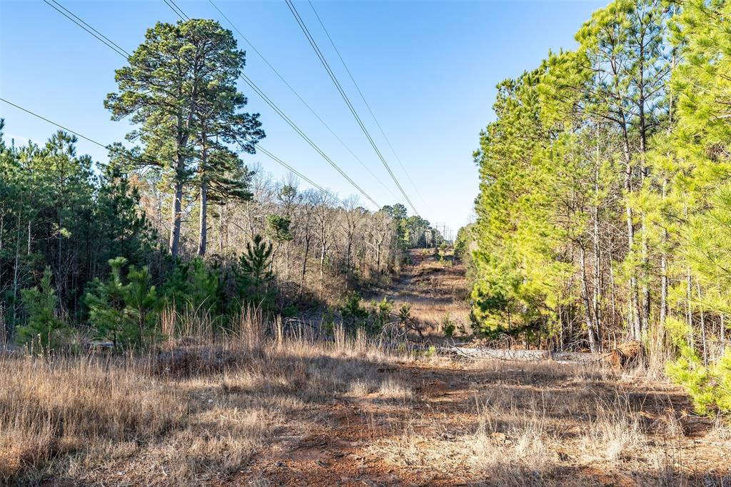 0 Red Oak Road Marshall, TX 75670 - Photo 21 of 40