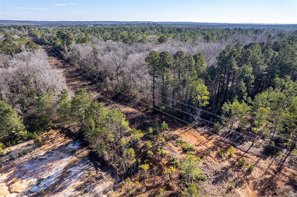 0 Red Oak Road Marshall, TX 75670 - Photo 8 of 40