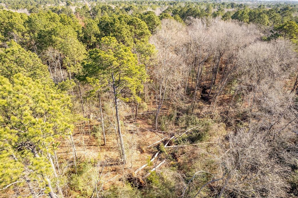 0 Red Oak Road Marshall, TX 75670 - Photo 10 of 40
