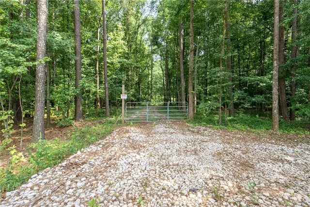 a view of backyard with green space