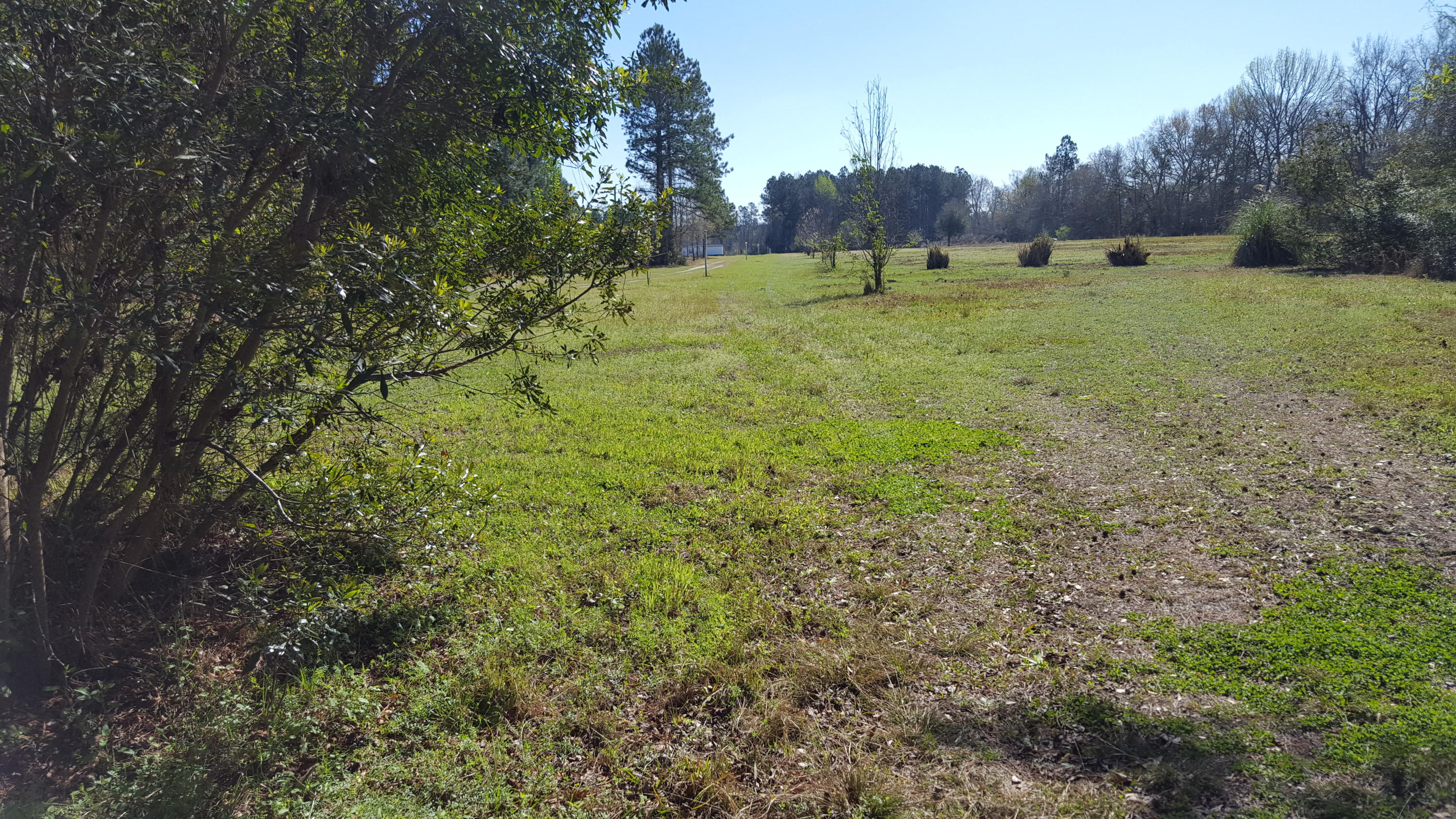 2229 Scuffletown Road Ruffin, SC 29475 - Photo 1 of 7 ST-8