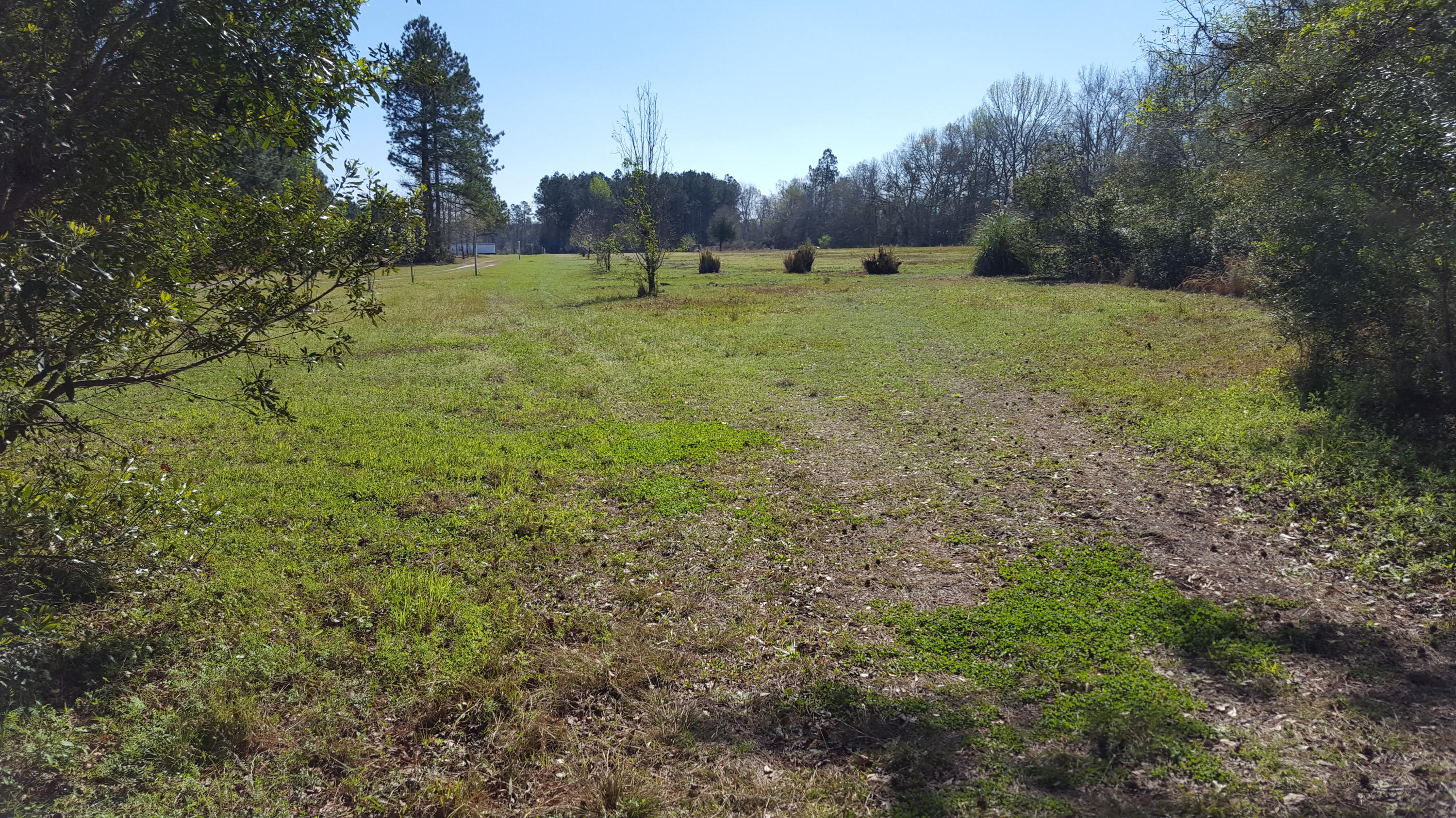2229 Scuffletown Road Ruffin, SC 29475 - Photo 2 of 7 ST-7