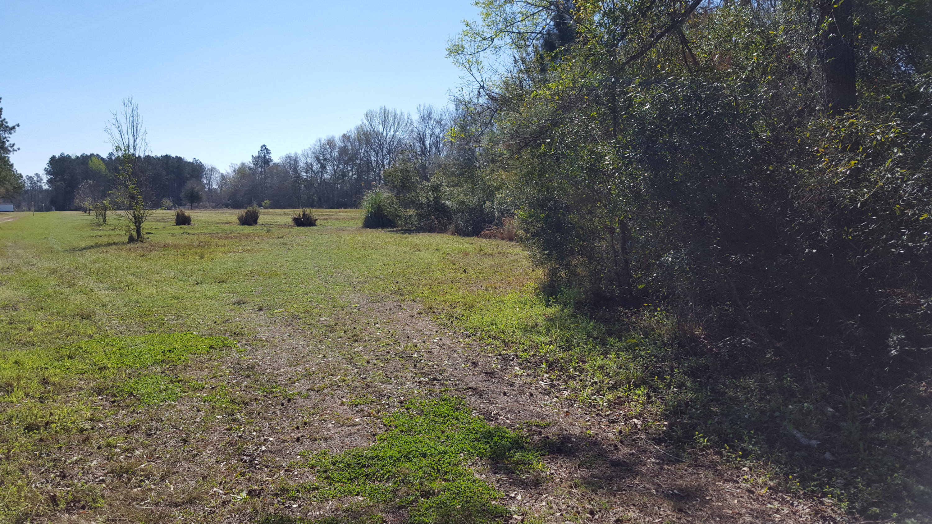 2229 Scuffletown Road Ruffin, SC 29475 - Photo 3 of 7 ST-6
