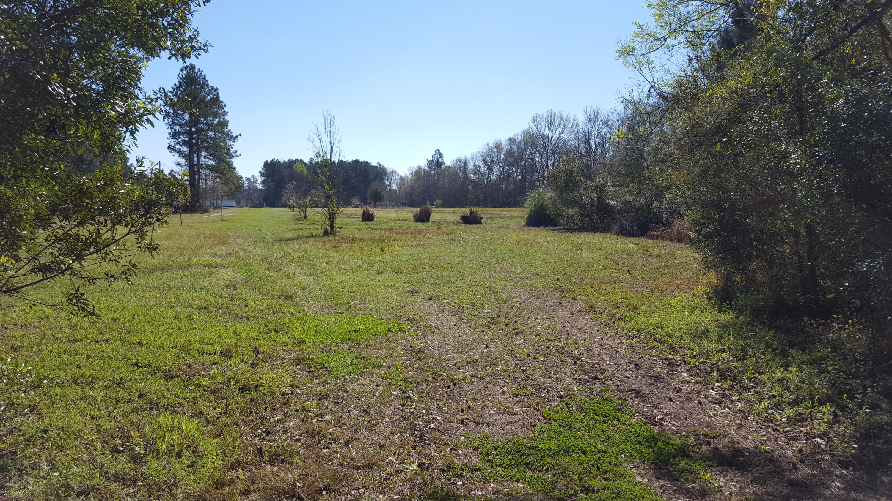 2229 Scuffletown Road Ruffin, SC 29475 - Photo 4 of 7 ST - 4