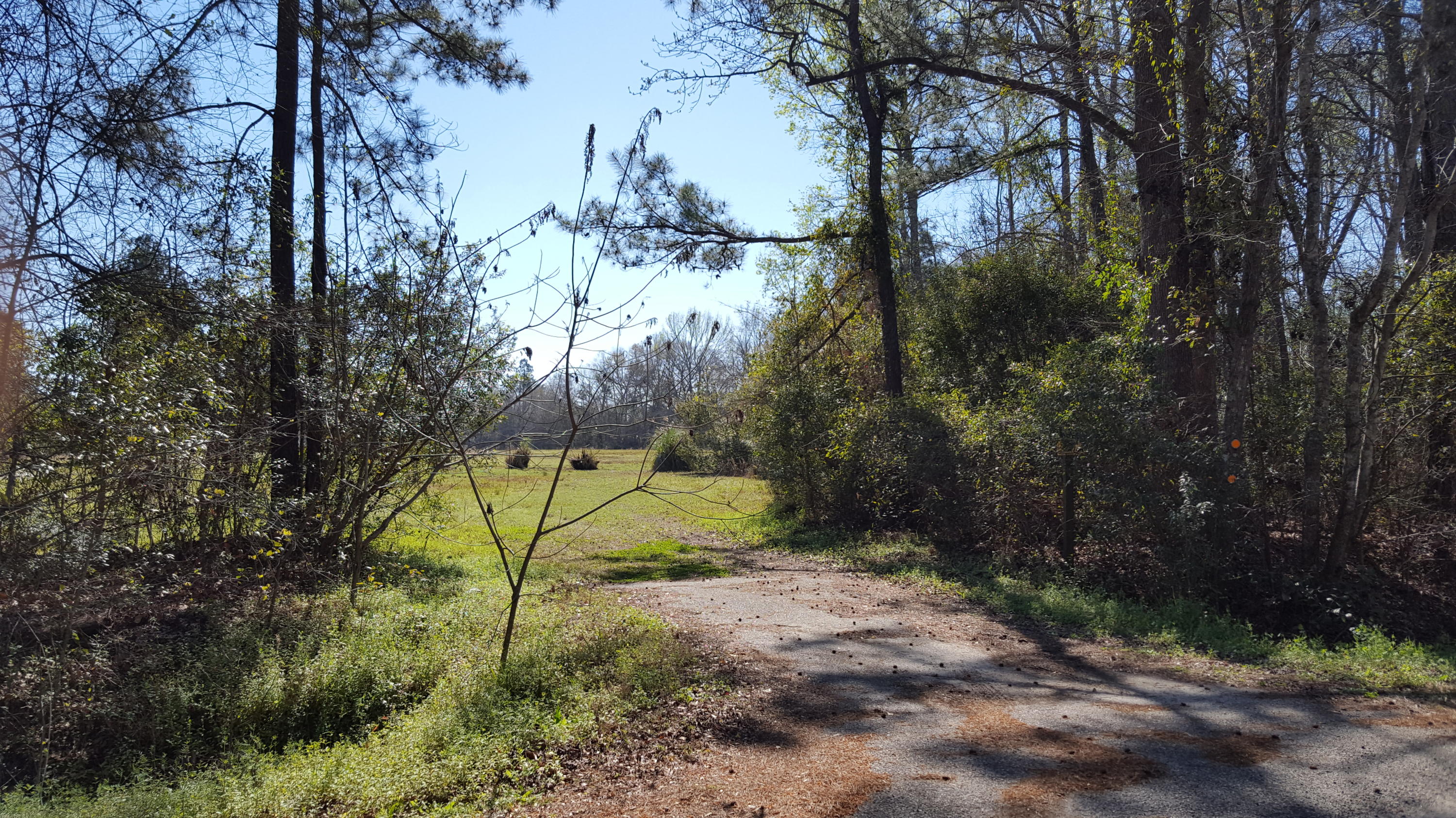 2229 Scuffletown Road Ruffin, SC 29475 - Photo 5 of 7 ST- 3