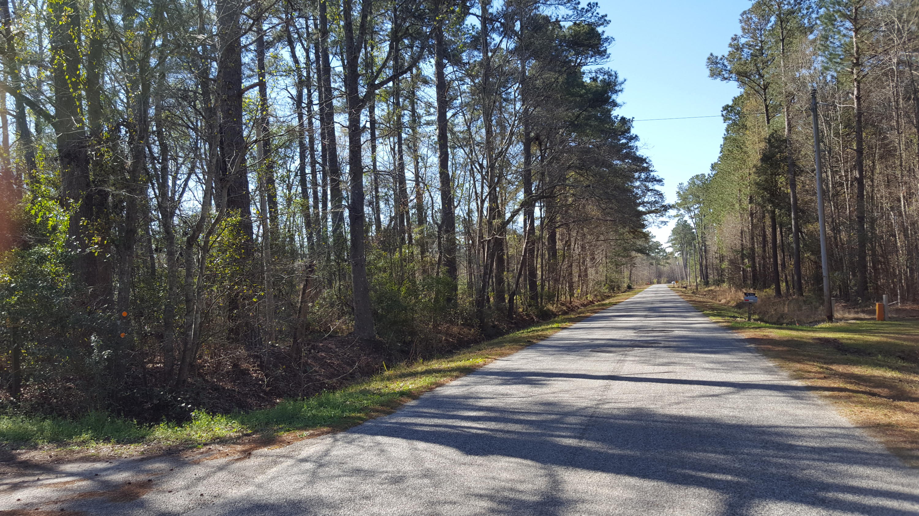 2229 Scuffletown Road Ruffin, SC 29475 - Photo 7 of 7 ST-1