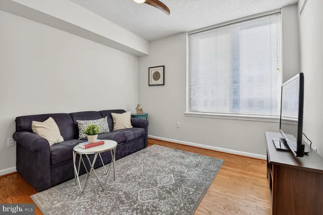 a living room with furniture and a rug