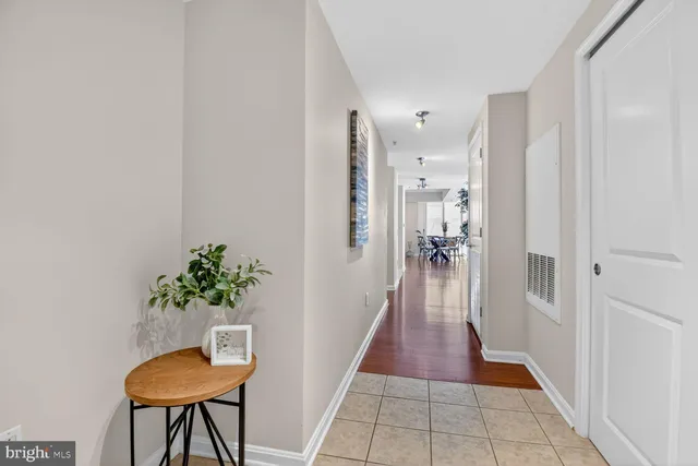 a hallway with wooden floor and a potted plant