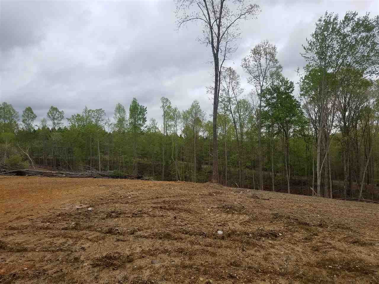 727 Rayl Hollow Road Decatur, TN 37322 - Photo 1 of 1 a backyard of a house with lots of green space