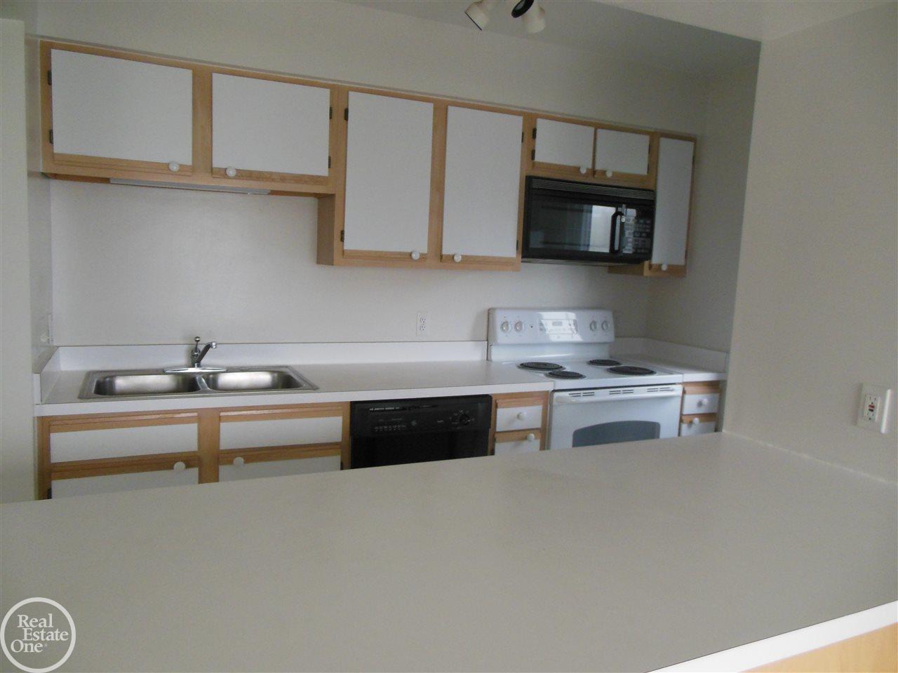 29800 Riverside Bay Court Harrison Township, MI 48045 - Photo 3 of 8