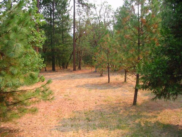 16786 Water Gap Road Williams, OR 97544 - Photo 25 of 34 Additional Photo