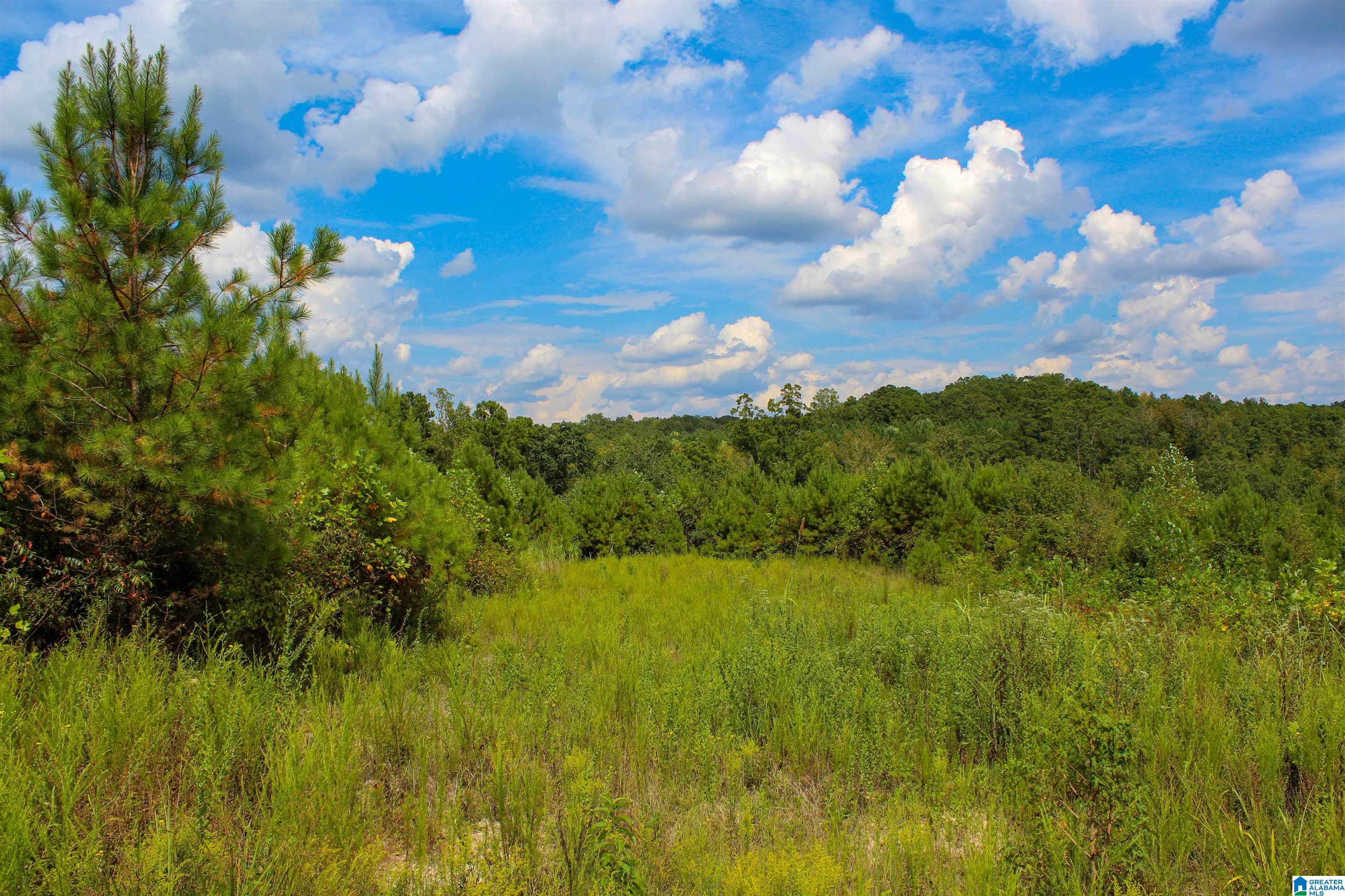 1 Highway 13, Unit 1 Berry, AL 35546 - Photo 1 of 52