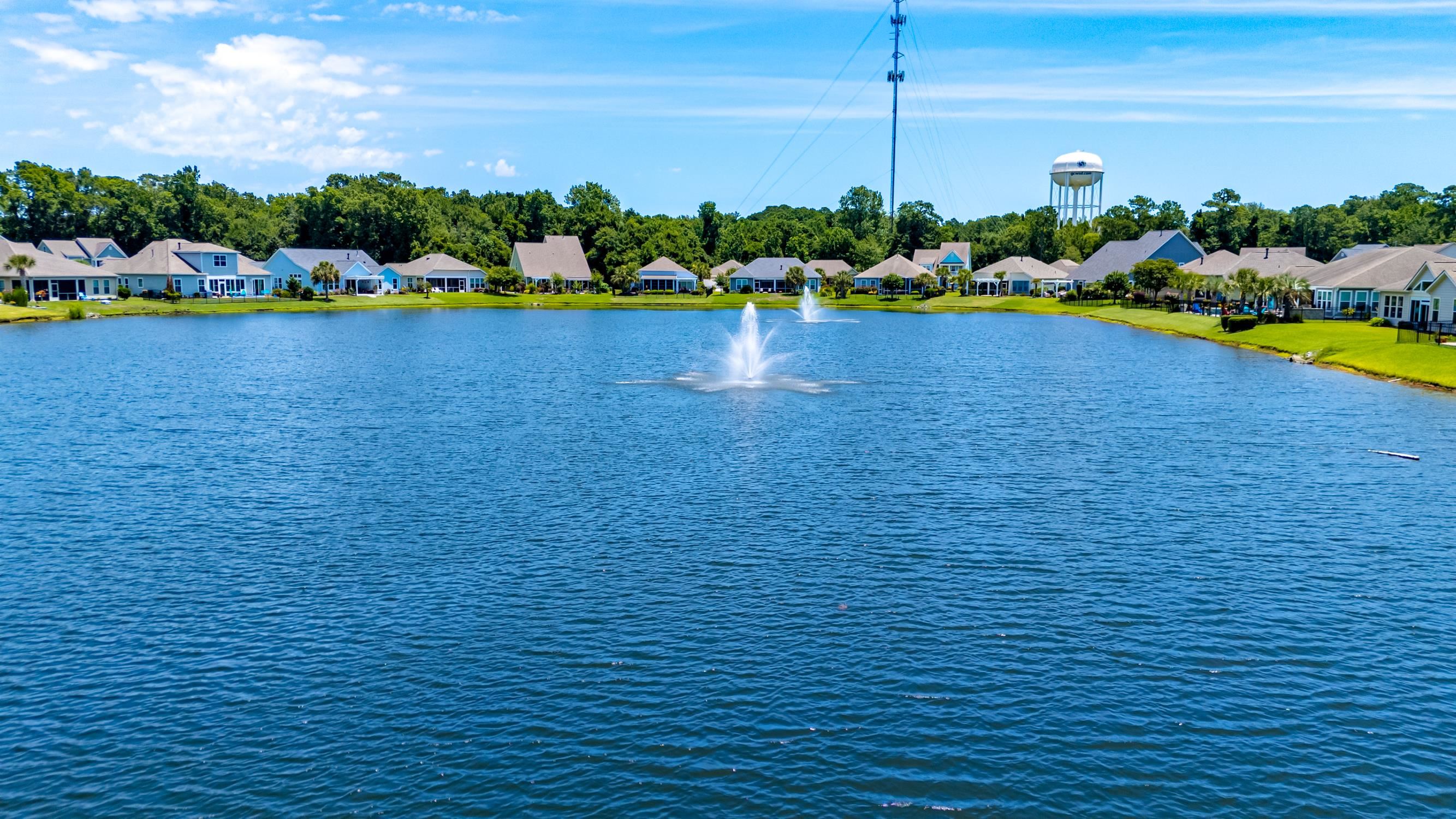 441 Hyacinth Loop Murrells Inlet, SC 29576 - Photo 57 of 74