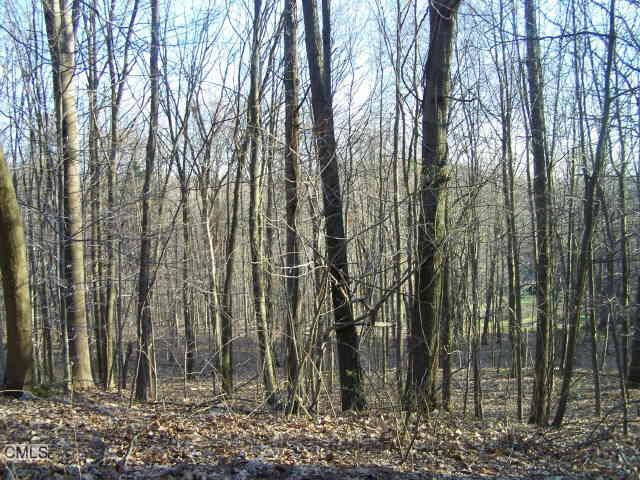 136 2nd Hill Road New Milford, CT 06776 - Photo 1 of 1 a view of forest