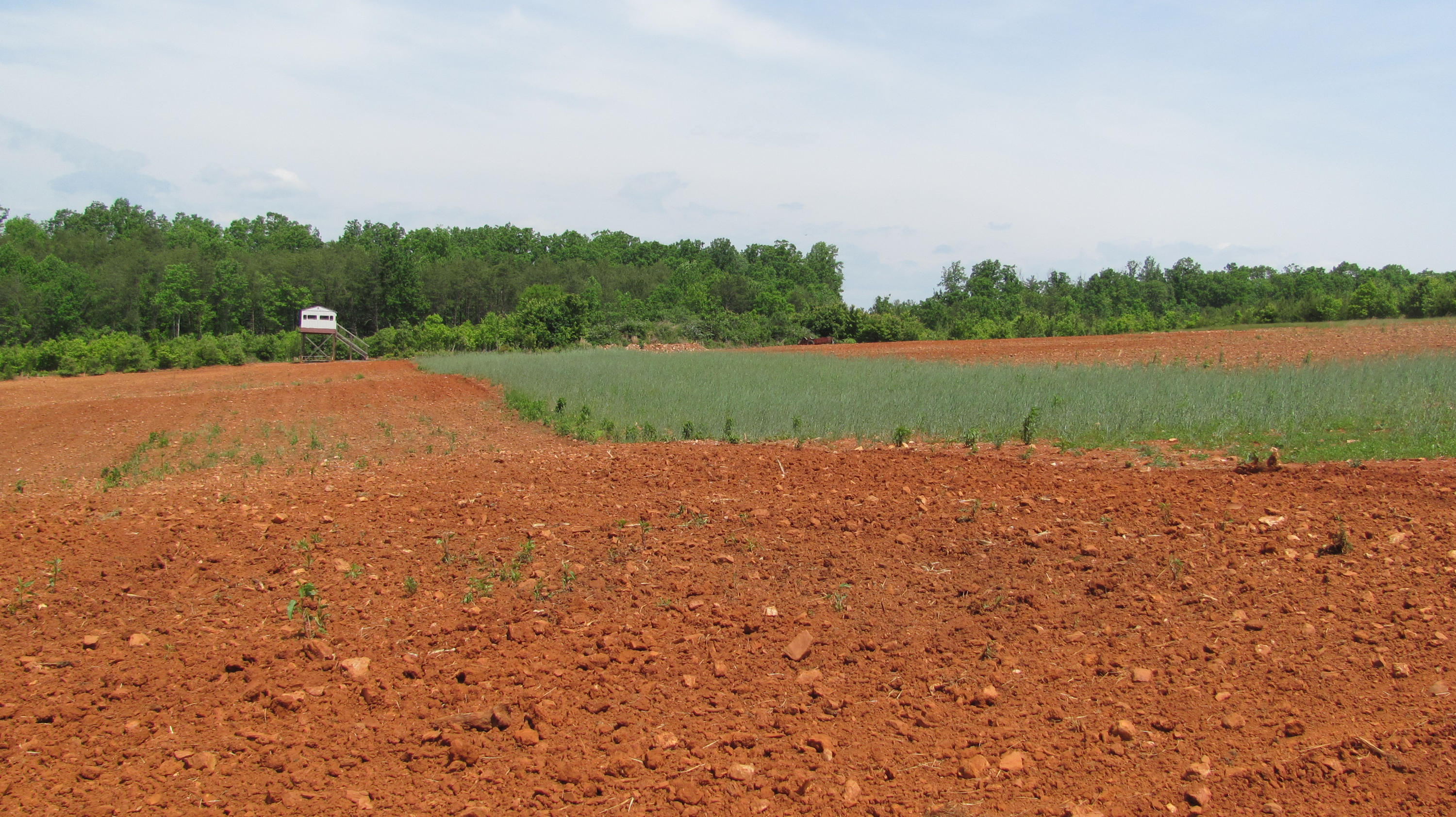 0 Chellis Ford Road Lynch Station, VA 24571 - Photo 2 of 8 Planted Wildlife Opening with Treehouse