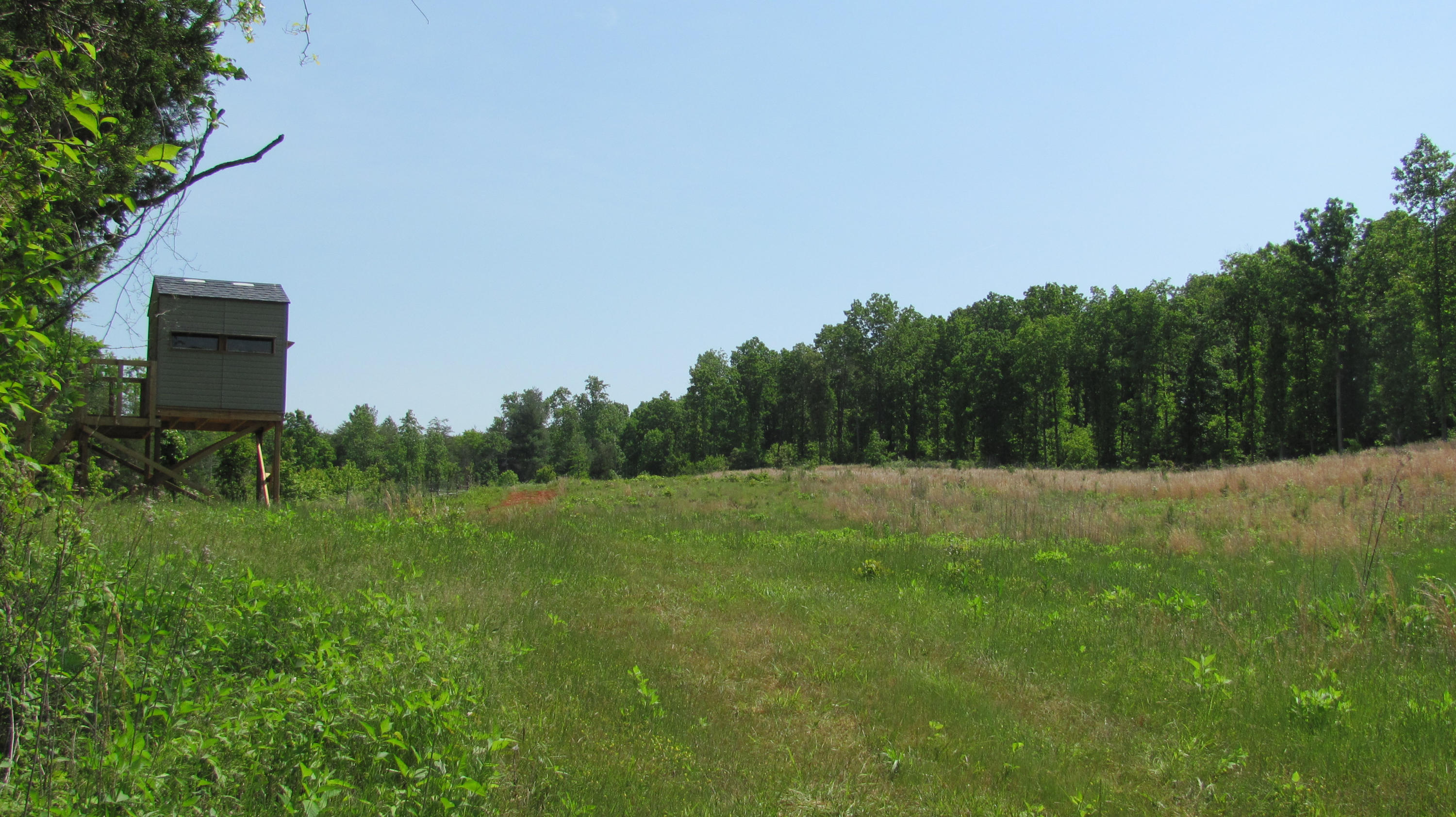 0 Chellis Ford Road Lynch Station, VA 24571 - Photo 4 of 8 Wildlife Opening