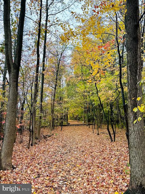 201 Mariners Point Drive Middle River, MD 21220 - Photo 5 of 10