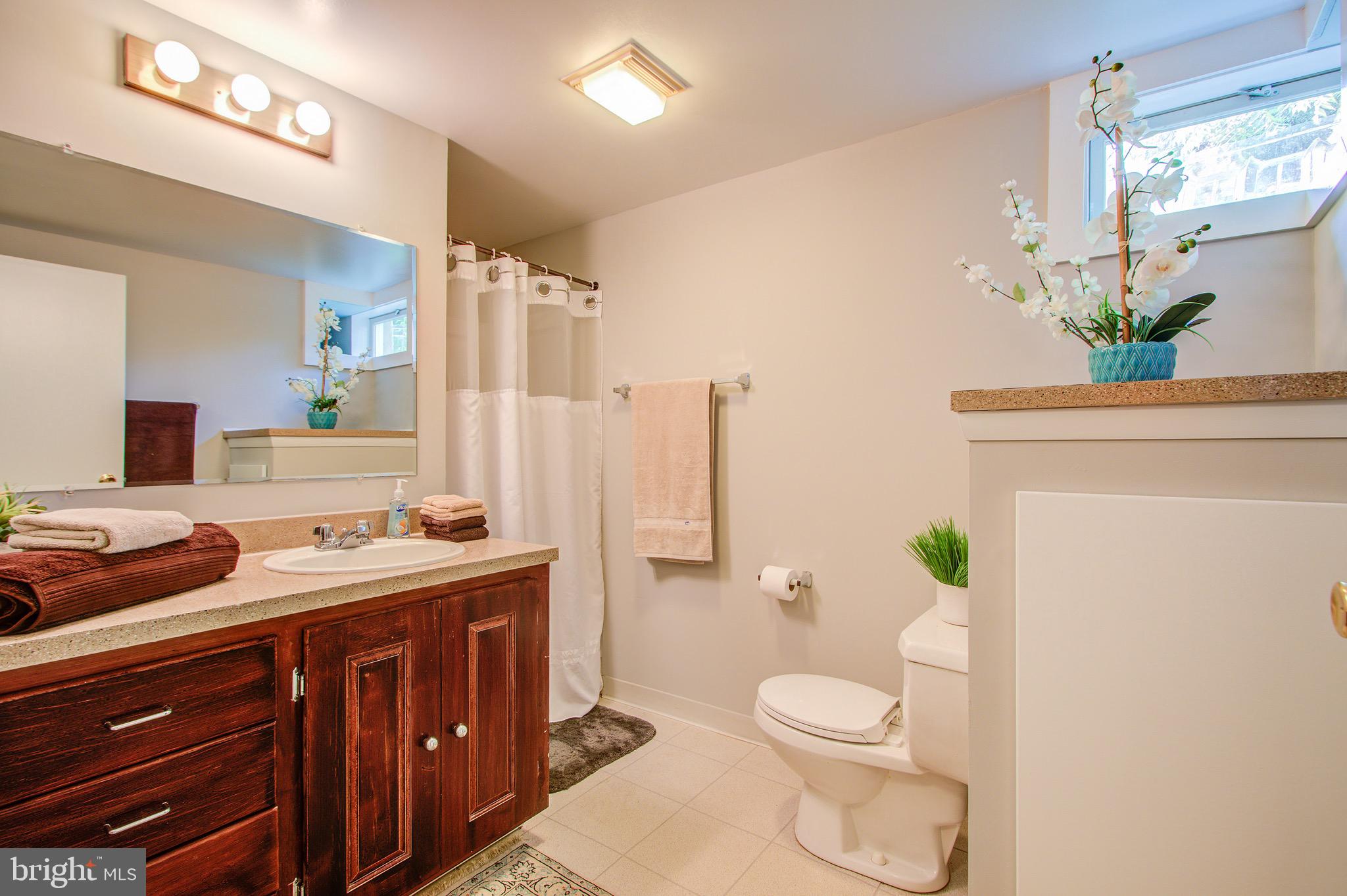 1011 Gilbert Road Rockville, MD 20851 - Photo 26 of 35 Big, Bright Lower Level Bath with Storage