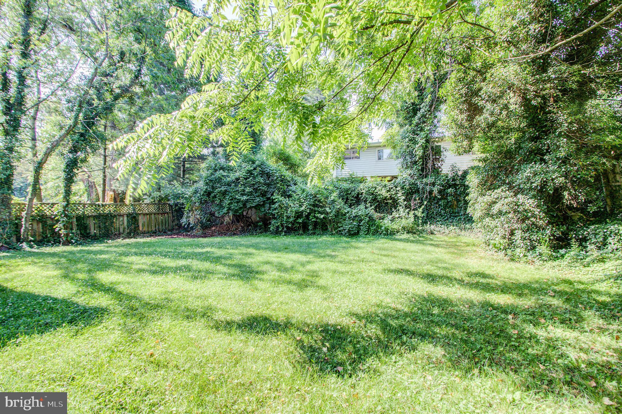 1011 Gilbert Road Rockville, MD 20851 - Photo 31 of 35 Secluded Yard/Space for Garden w/Mature Landscape
