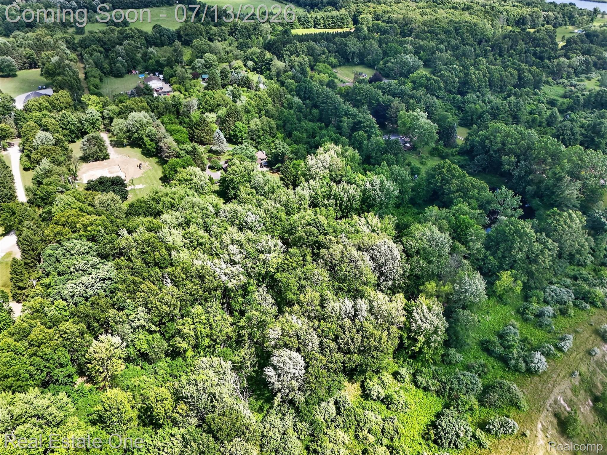 6039 Fish Lake Road Holly, MI 48442 - Photo 61 of 70 Expansive acreage featuring mature trees and lush green foliage
