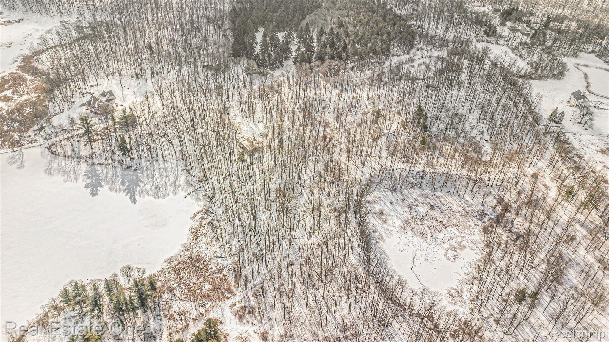 5850 Havens Road Leonard, MI 48367 - Photo 10 of 10 DJI_0105-Edit.jpg