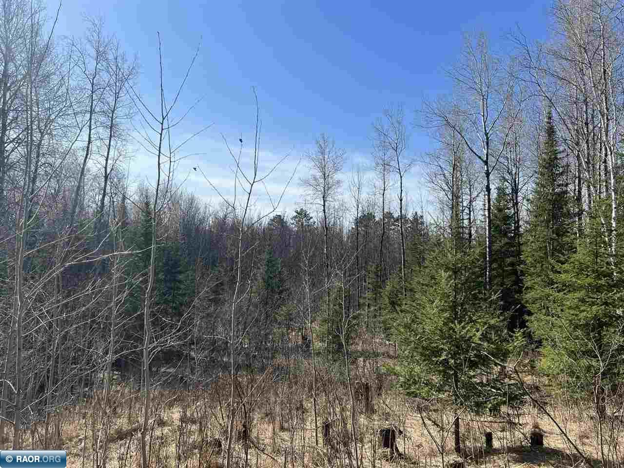 11720 Town Line Road Hibbing, MN 55746 - Photo 10 of 18