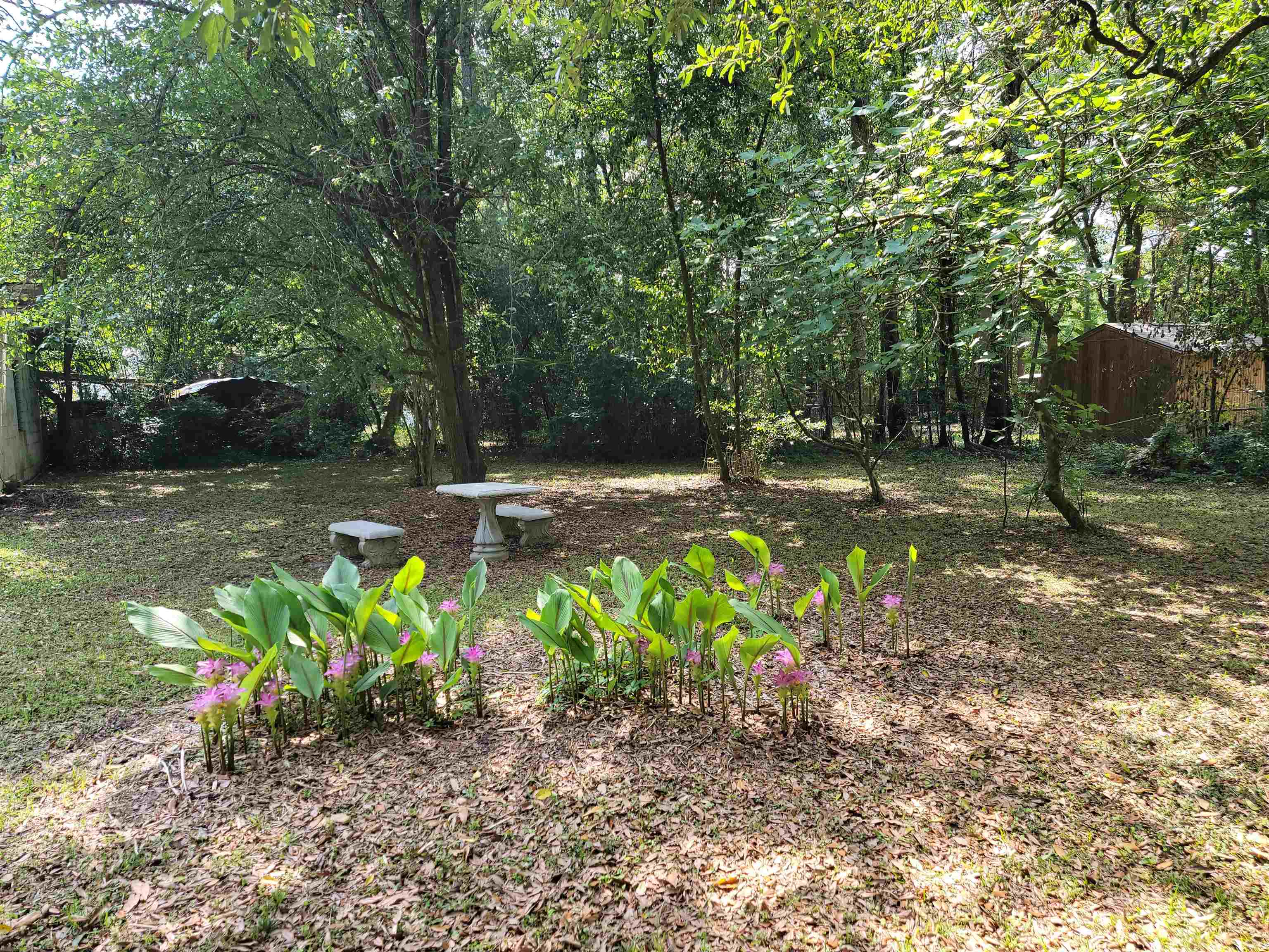 1919 A Trimble Road Tallahassee, FL 32303 - Photo 5 of 36 Gallery Image 5