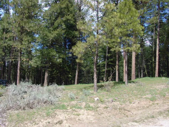 $110,000 | 1353 Sterling Drive, Cascade, ID 83611