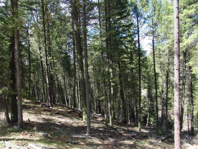 $110,000 | 1353 Sterling Drive, Cascade, ID 83611