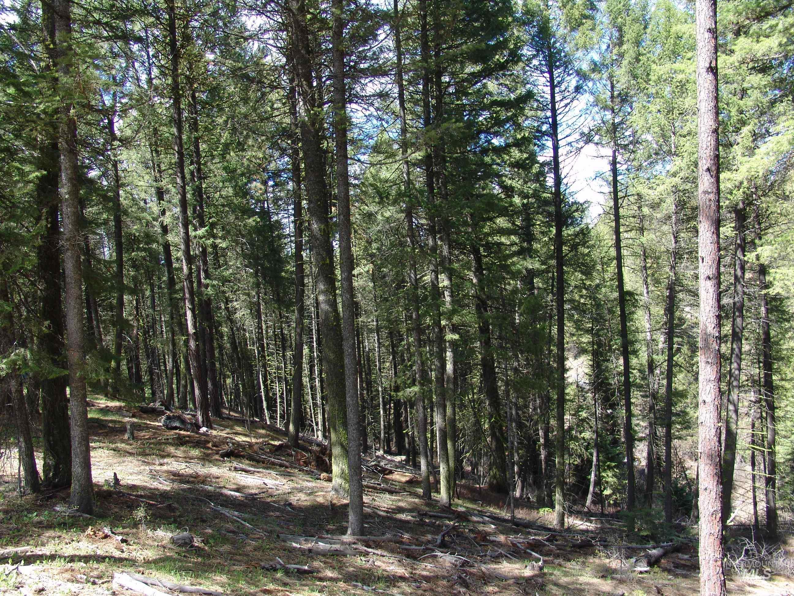 1353 Sterling Drive Cascade, ID 83611 - Photo 2 of 7