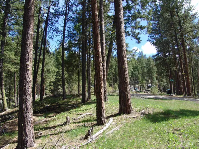 $110,000 | 1353 Sterling Drive, Cascade, ID 83611