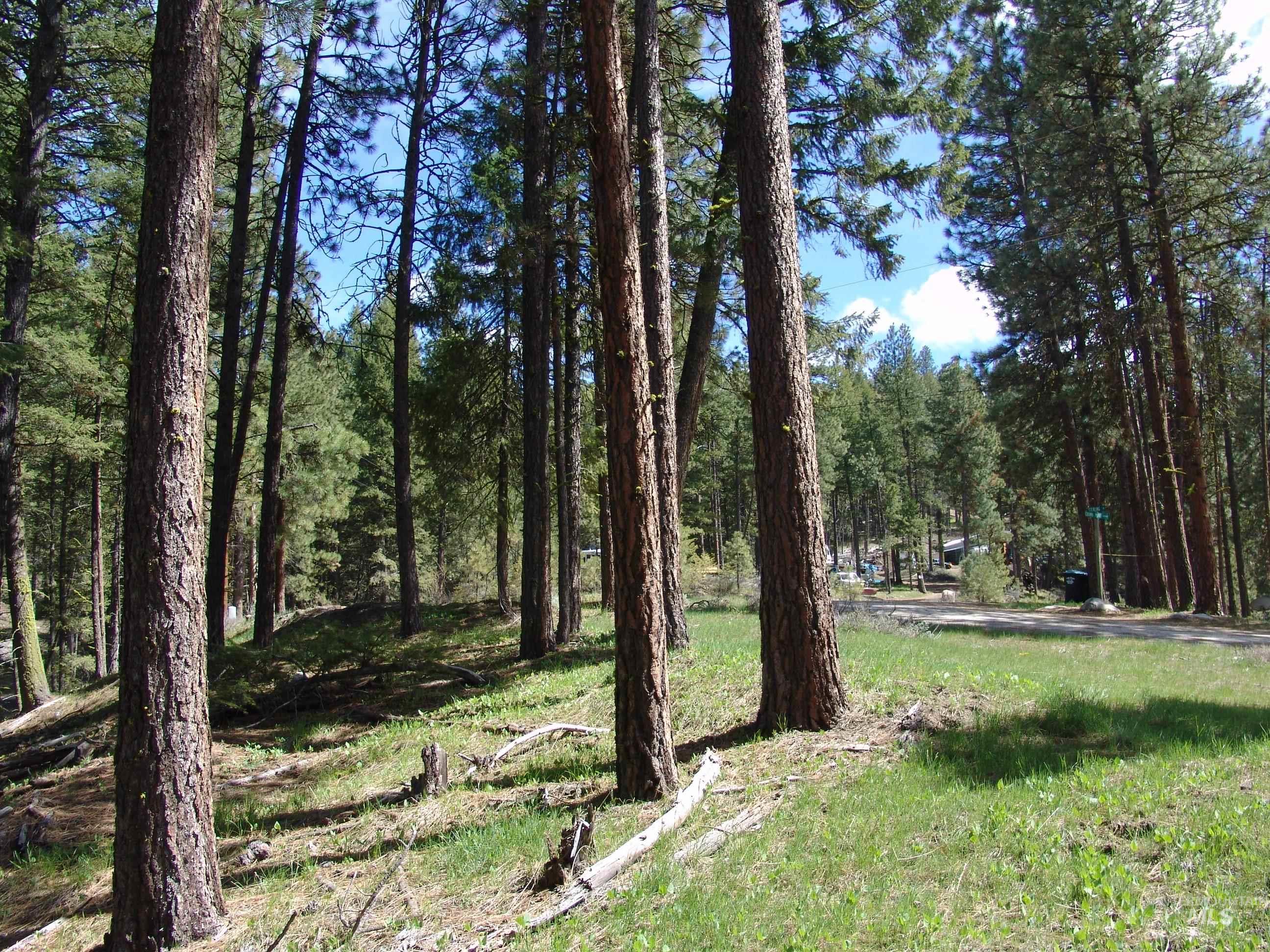 1353 Sterling Drive Cascade, ID 83611 - Photo 4 of 7