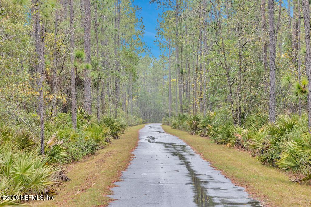 86178 Mainline Road Yulee, FL 32097 - Photo 60 of 61 a view of a pathway both side of yard