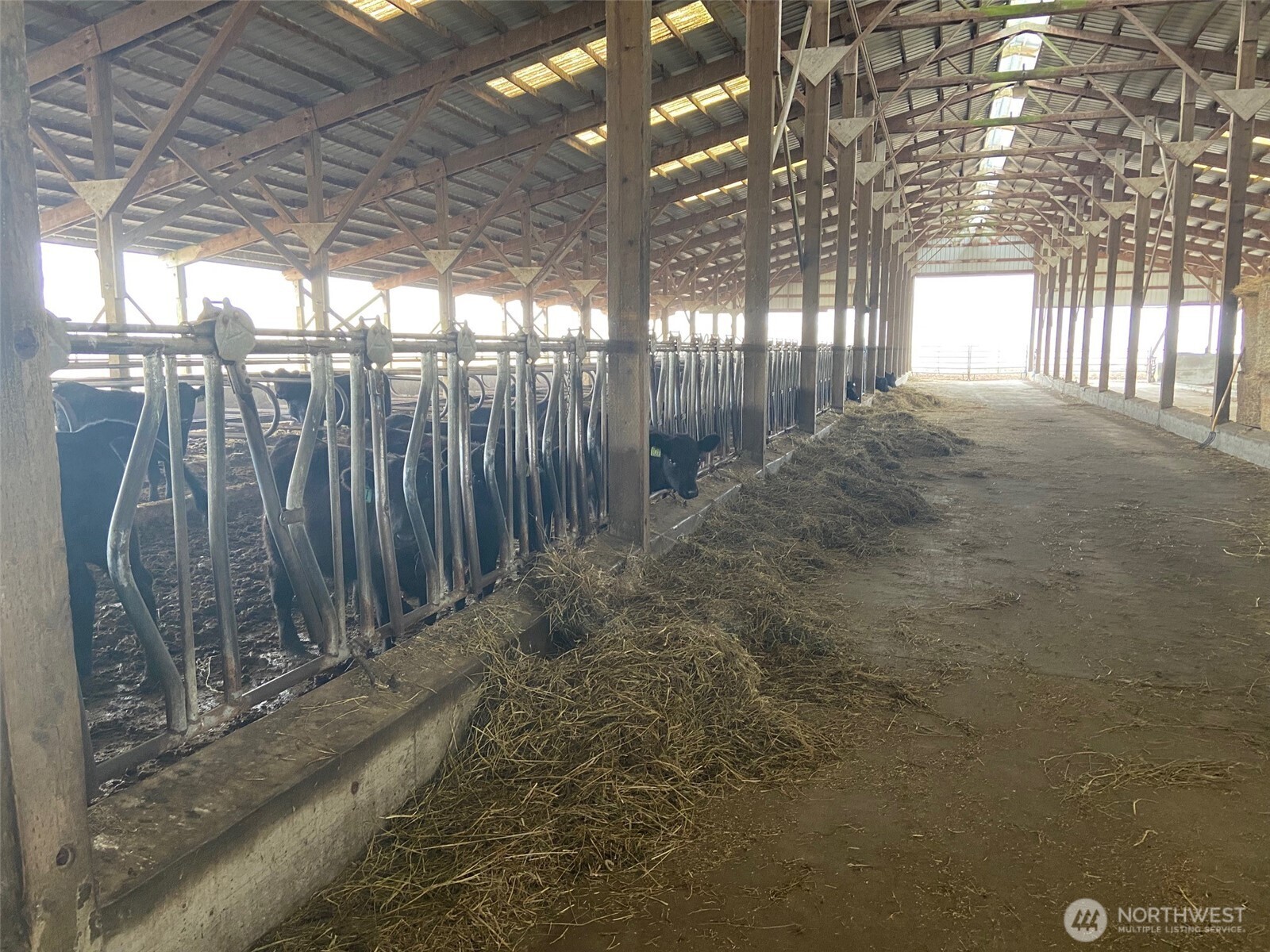 32002 48th Avenue South Roy, WA 98580 - Photo 14 of 40 a view of porch with a tree