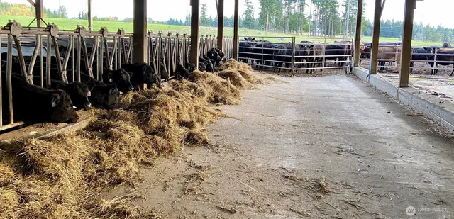 $6,000,000 | 32002 48th Avenue South, Roy, WA 98580