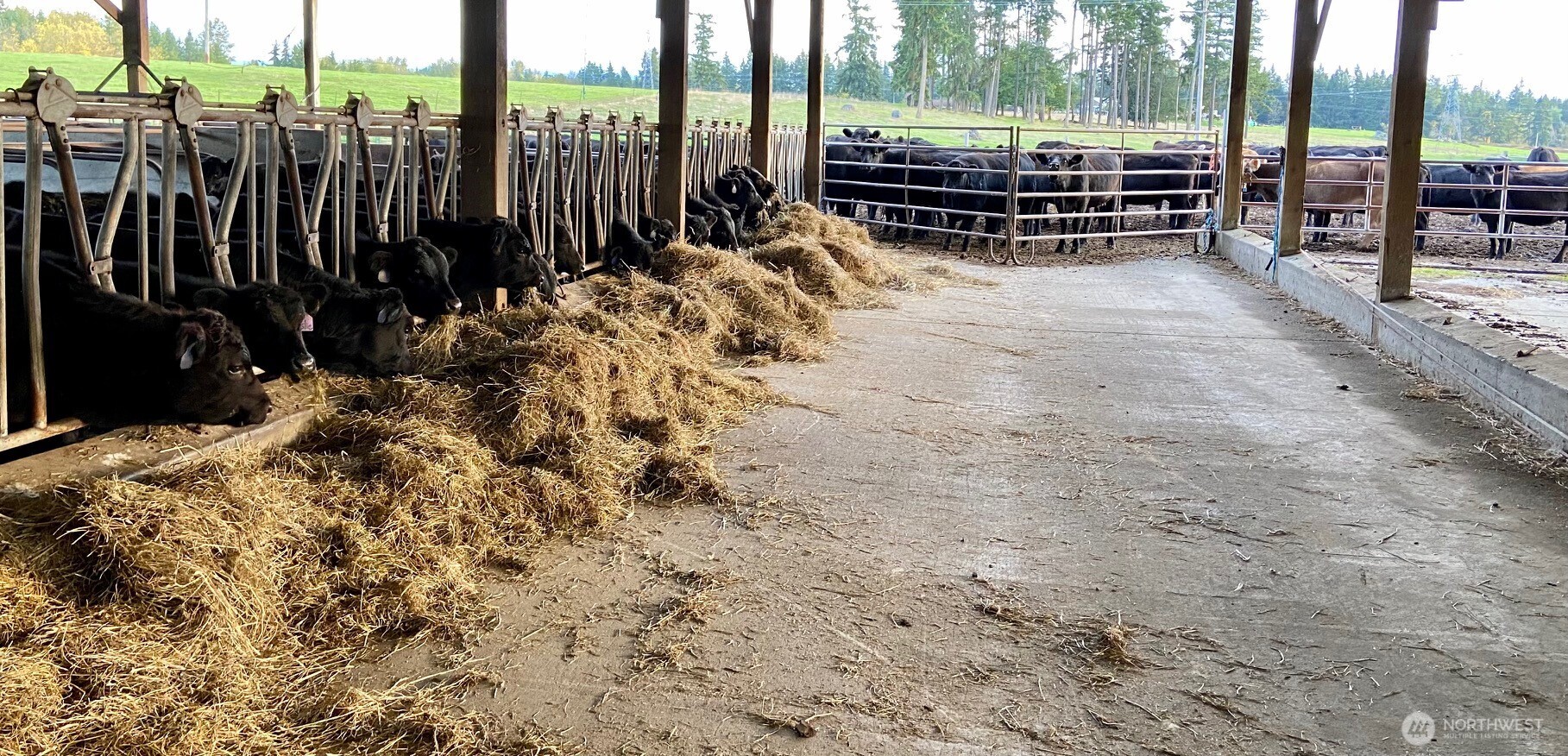 32002 48th Avenue South Roy, WA 98580 - Photo 15 of 40 a view of outdoor space with seating area