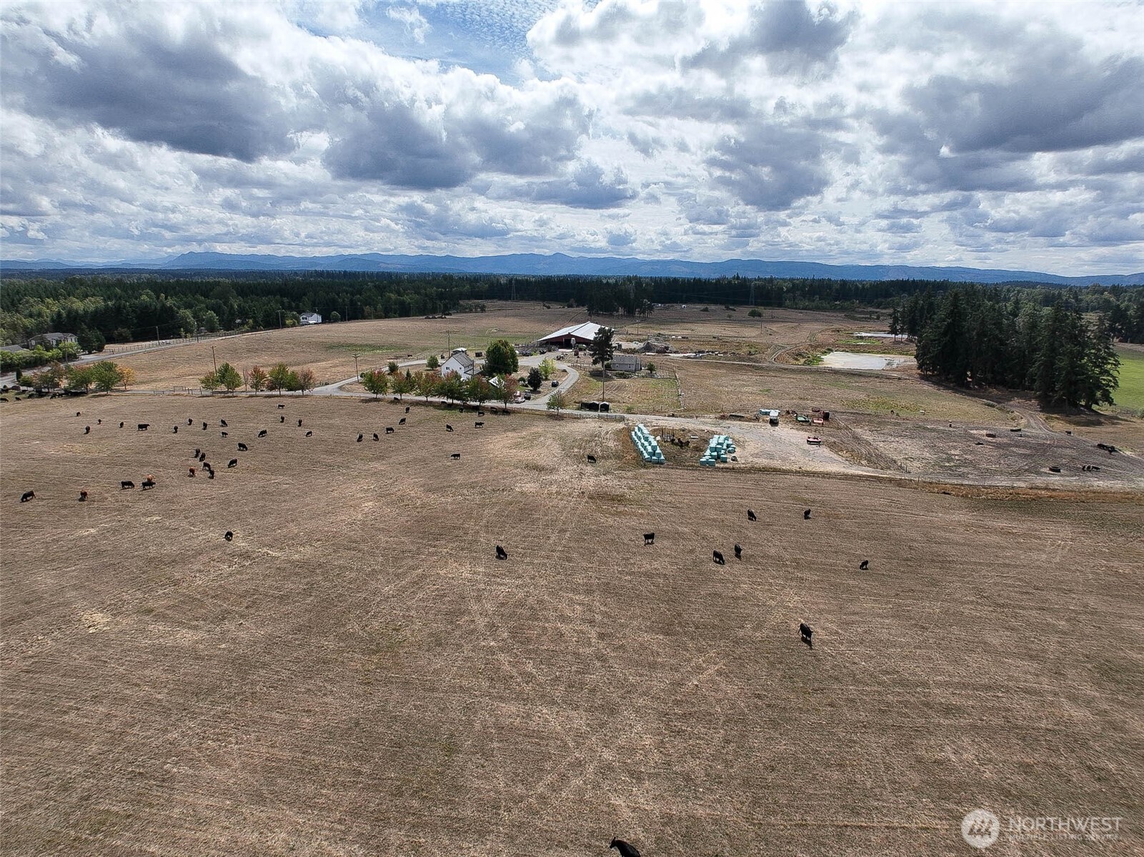 32002 48th Avenue South Roy, WA 98580 - Photo 18 of 40