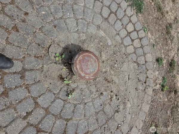 a view of a dry yard with wooden fence