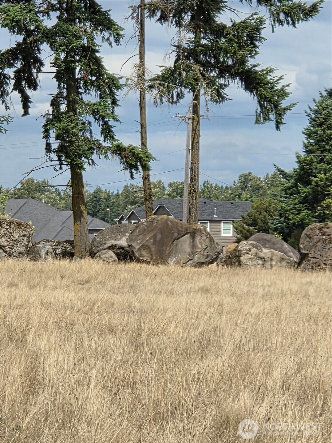 32002 48th Avenue South Roy, WA 98580 - Photo 21 of 40 a view of a backyard of a house