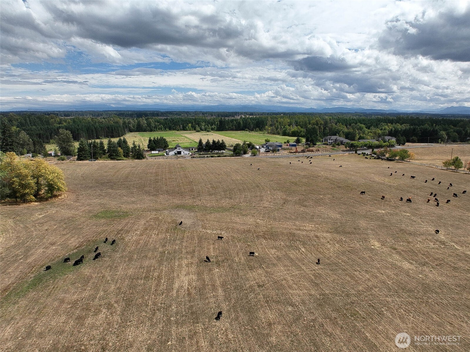 32002 48th Avenue South Roy, WA 98580 - Photo 22 of 40 a view of a lake with a city view