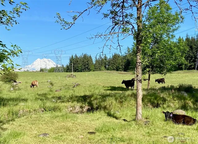 $6,000,000 | 32002 48th Avenue South, Roy, WA 98580