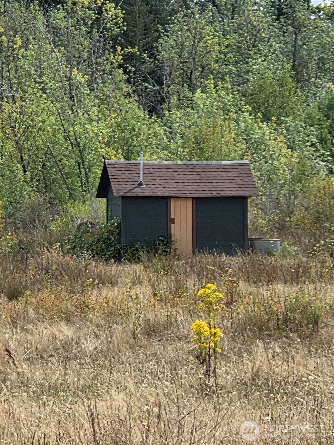 32002 48th Avenue South Roy, WA 98580 - Photo 40 of 40 a view of a back yard of the house