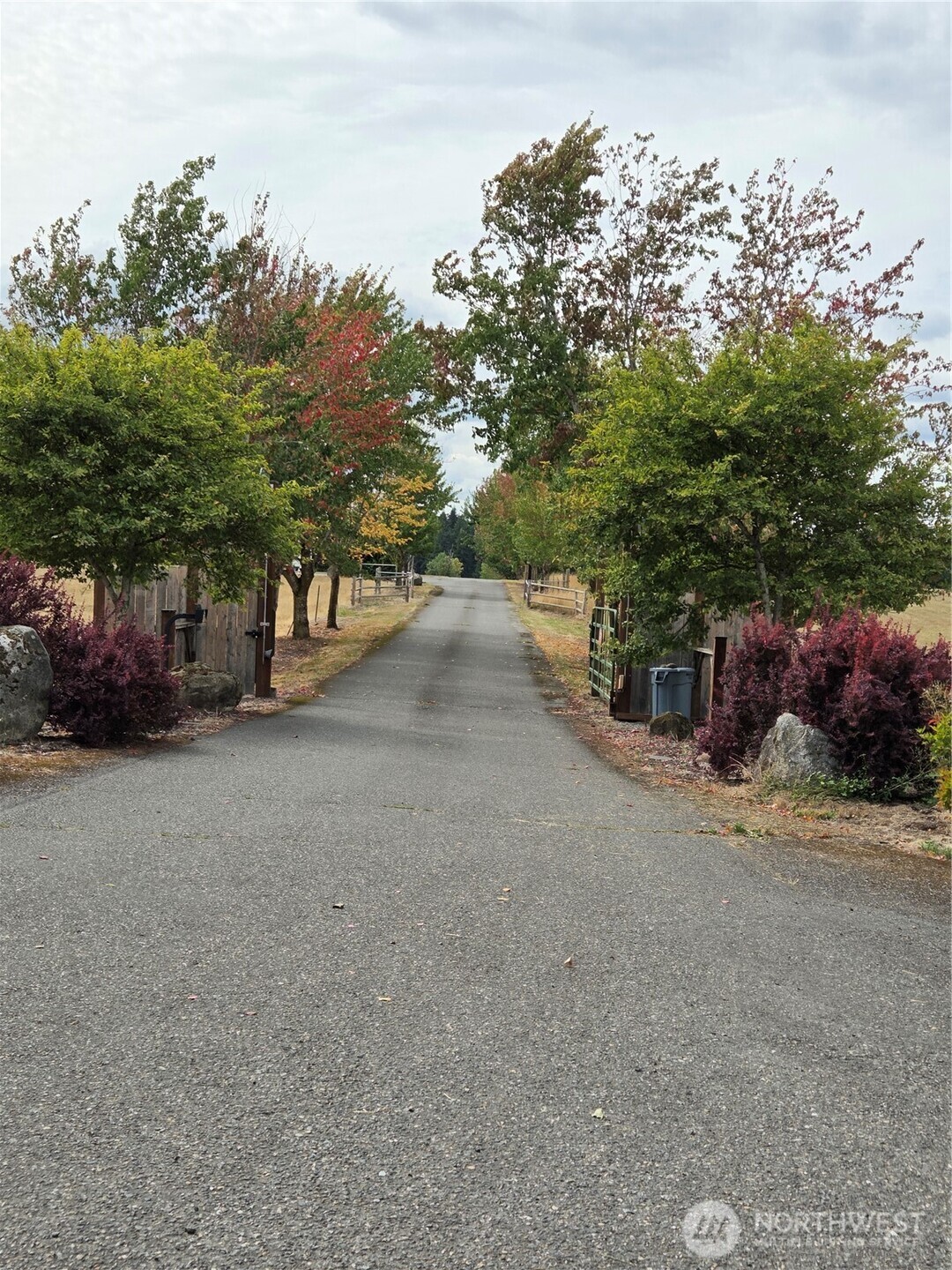 32002 48th Avenue South Roy, WA 98580 - Photo 4 of 40 a view of a street