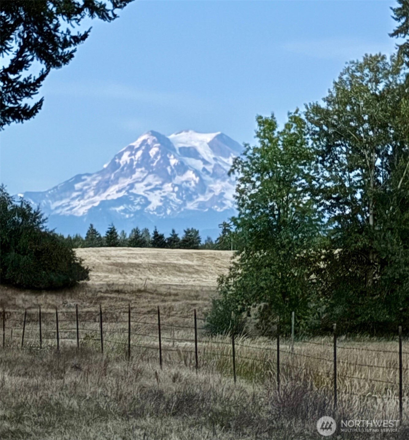 32002 48th Avenue South Roy, WA 98580 - Photo 5 of 40
